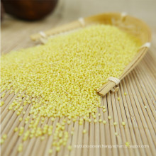 Good taste Chinese hulled yellow millet